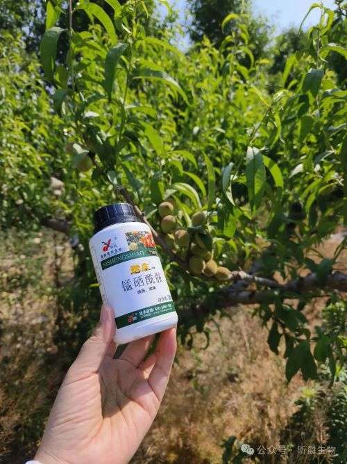昕爵逆生4号，针对细菌低等真菌兼杀病毒