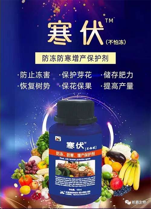 天气变冷，快用植物防冻剂寒伏
