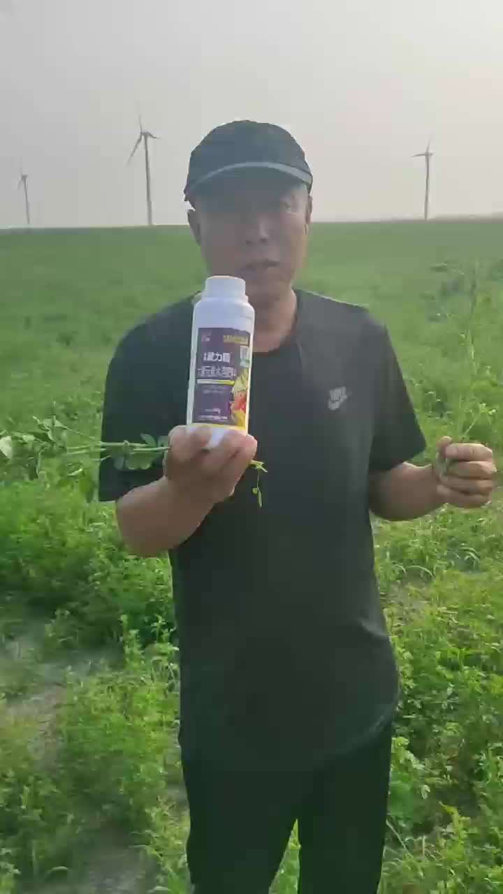 翡利晶草场使用市场案例